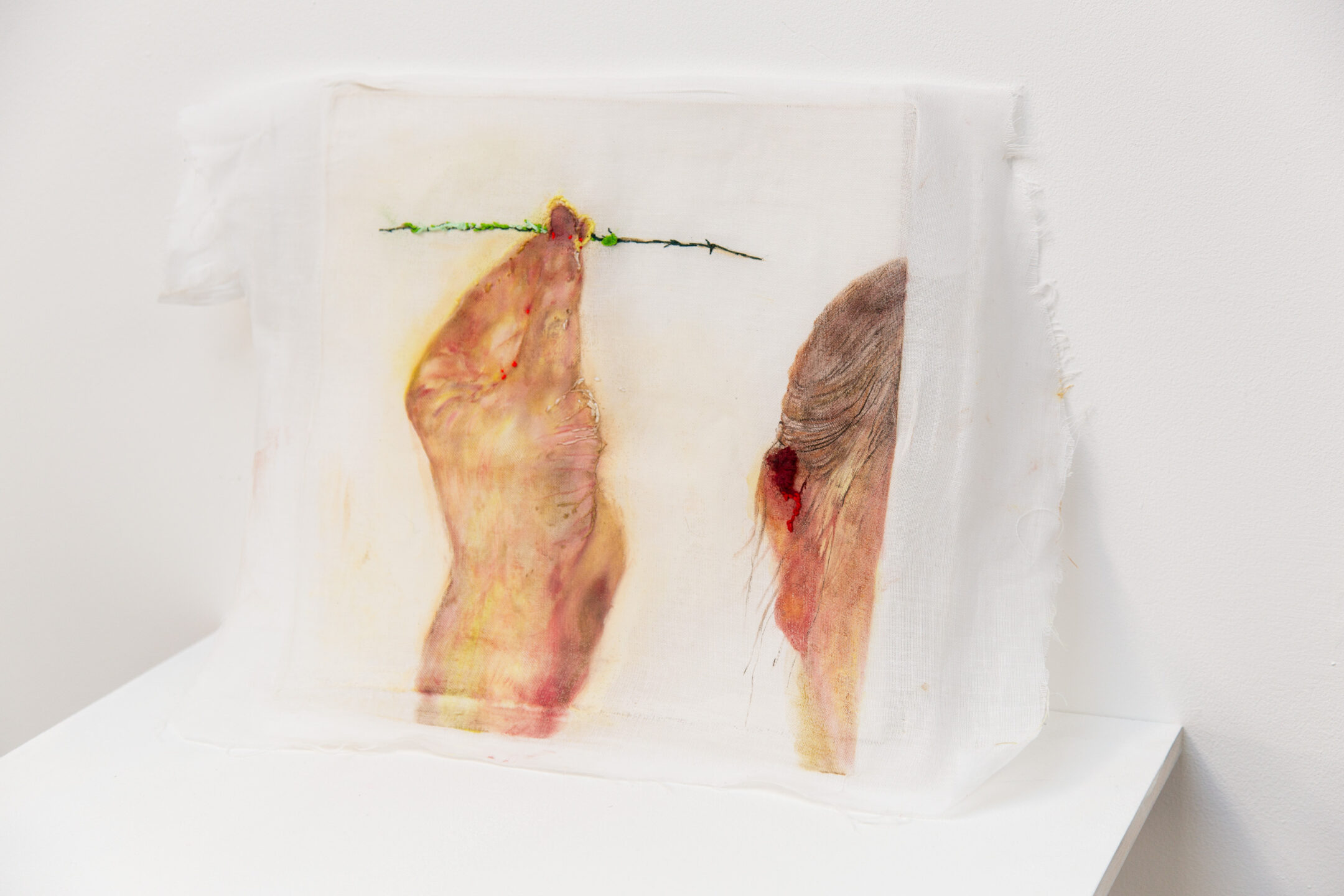 The Apparition Opening Exhibition