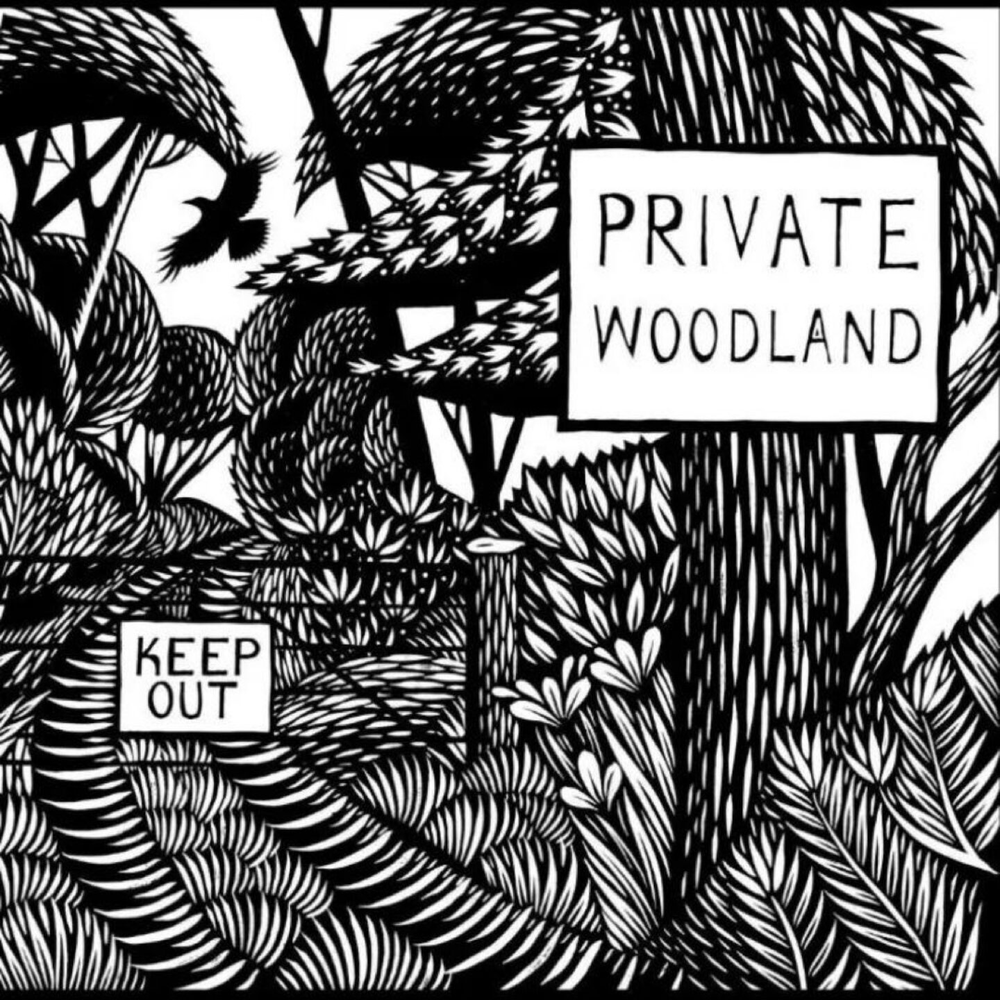 Land Justice Oxfordshire: Community Bring & Share Gathering