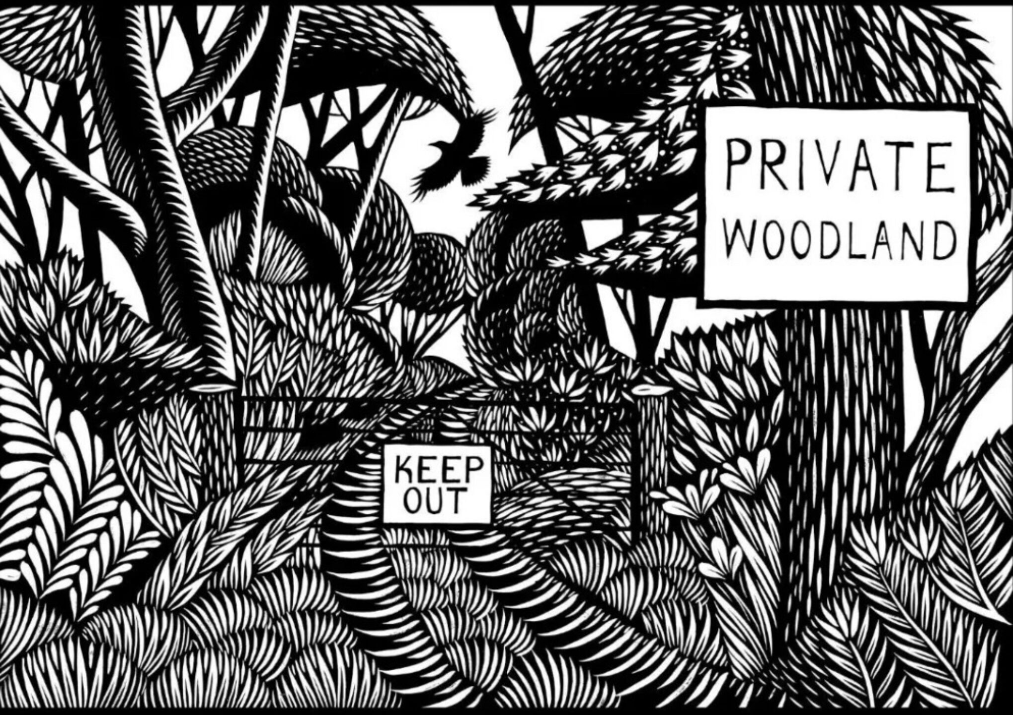 ‘Know Your Trespass Rights’ workshop