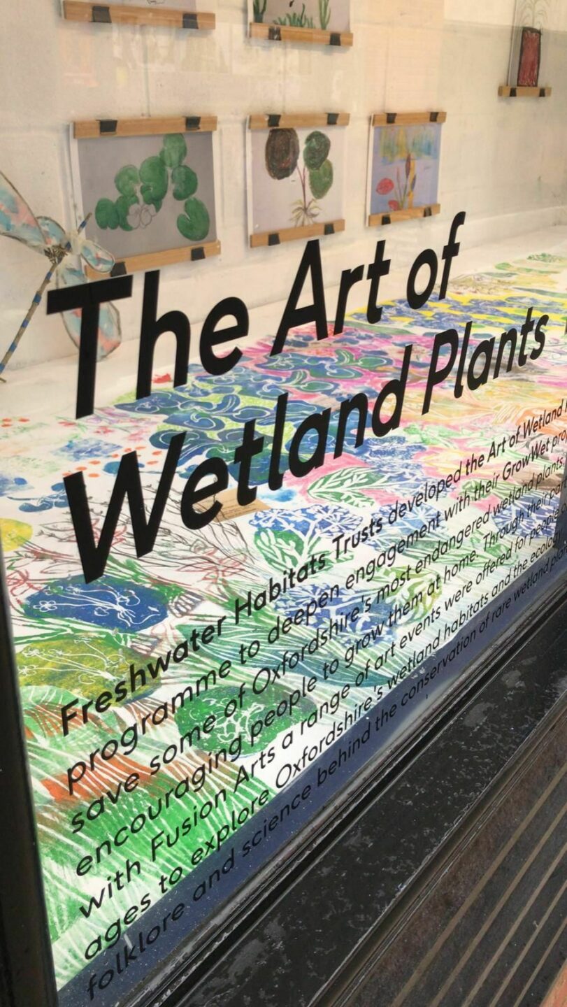 Celebrating Wetlands