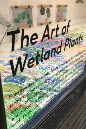 Celebrating Wetlands