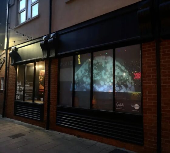 Call of the silent cell projection