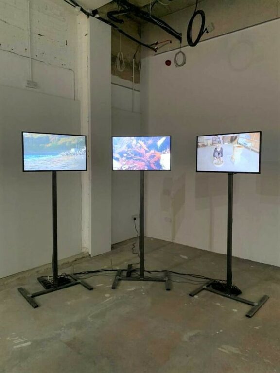 Three televisions play Eiko Soga's work