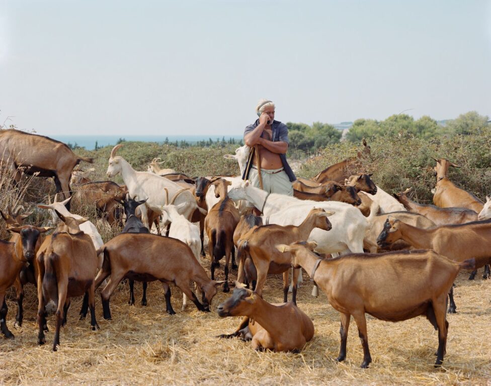 3 Angelo goatherd near Otranto August 2022 0ef3f867 663d 4405 8dfd ab7cec614295