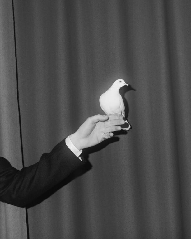 6 Magic 5f7aec21 75da 4bdd 9cdd 684ca1742ecb