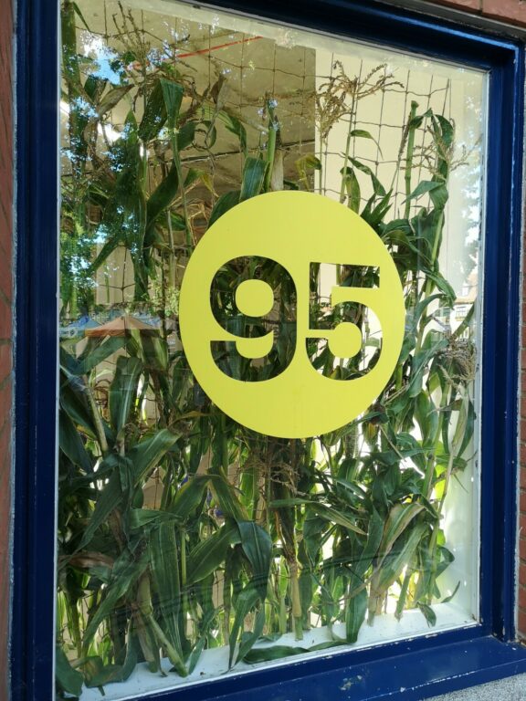 95 Gloucester Green window with corn plants behind it