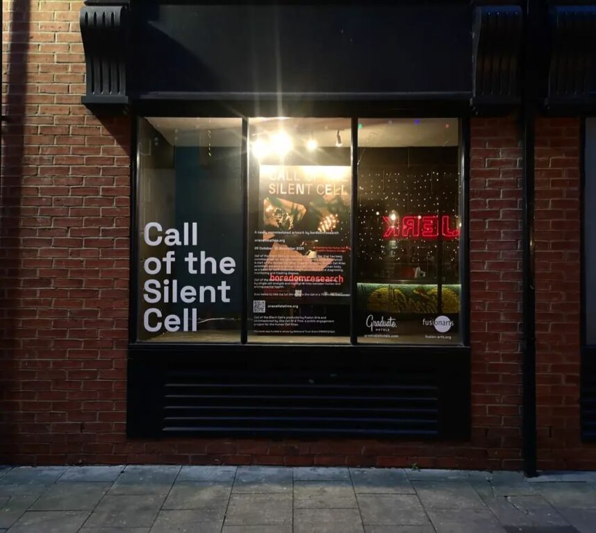 Call of the Silent Cell window projection